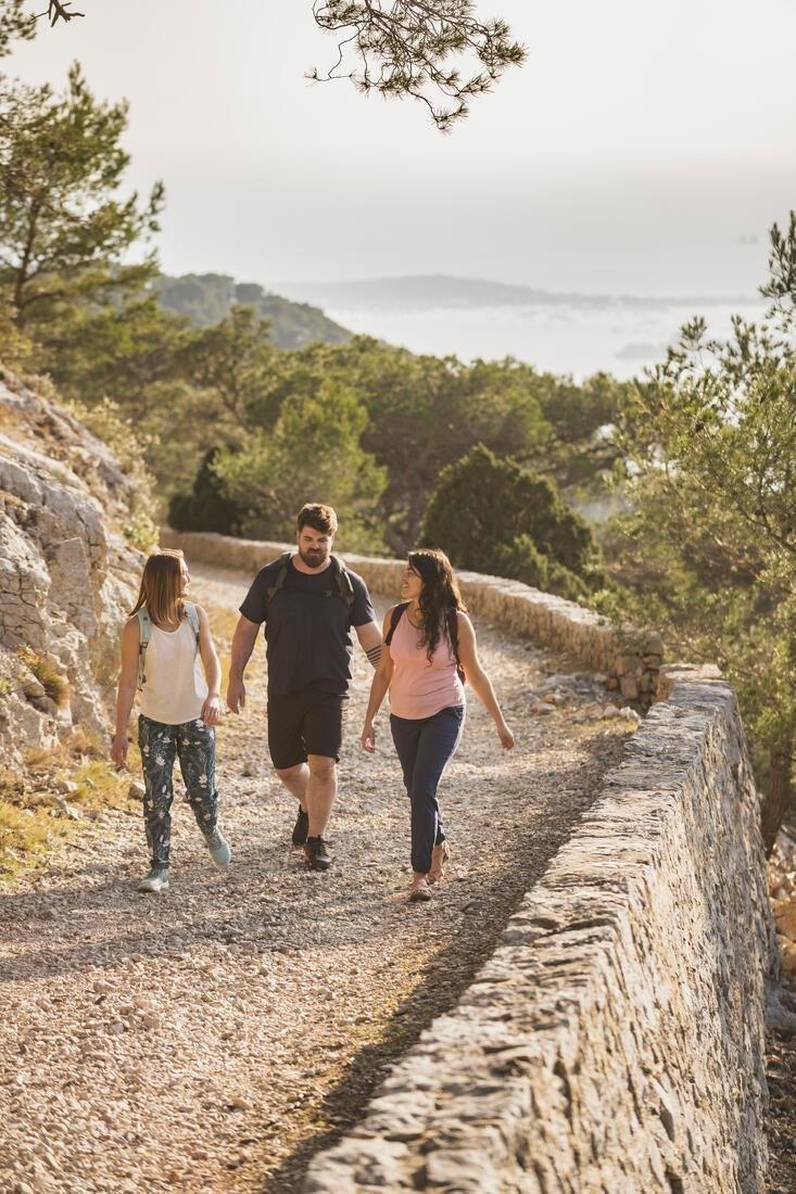 Men's Country Walking Shorts - Nh500 Regular, Carbon Grey, No Color, medium