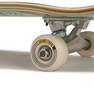 OXELO - Complete Skateboard Fury- 8.25-Cp500, Green