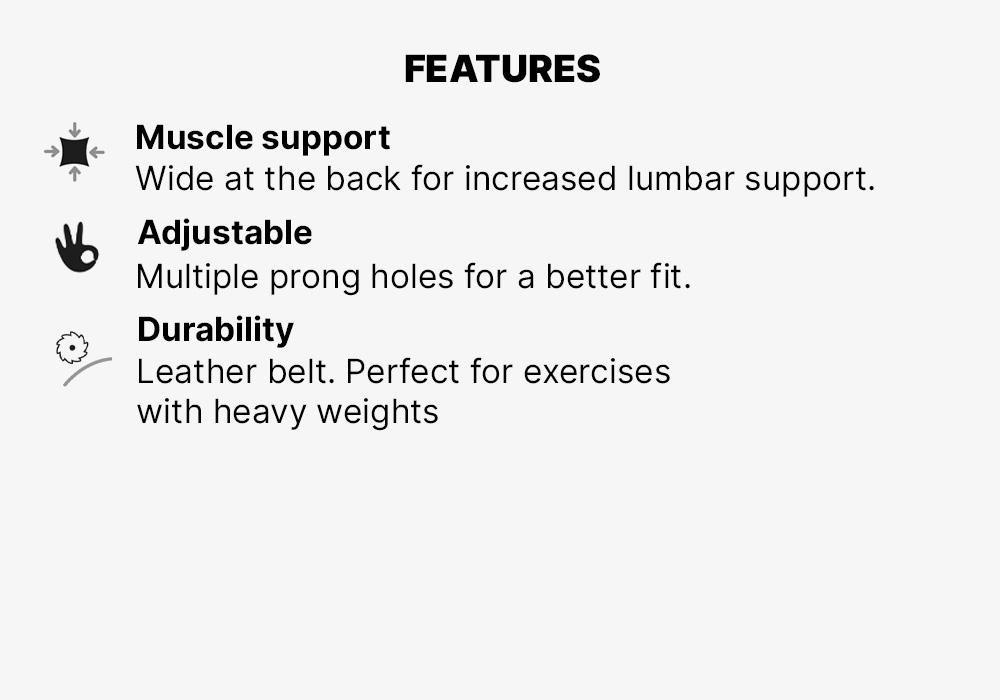 Weight Training Lmbar BeltLeather, , large image number 14