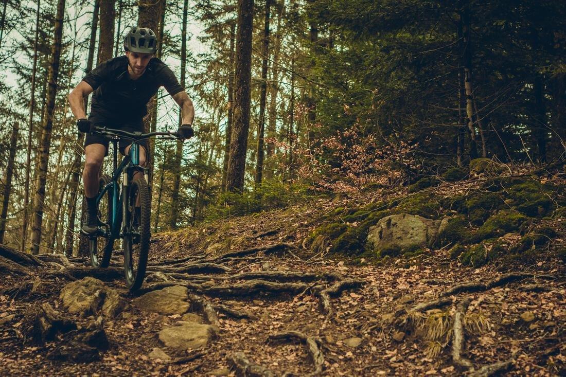 Mountain Bike - St 540 V2 27.5, Blue, , large image number 13