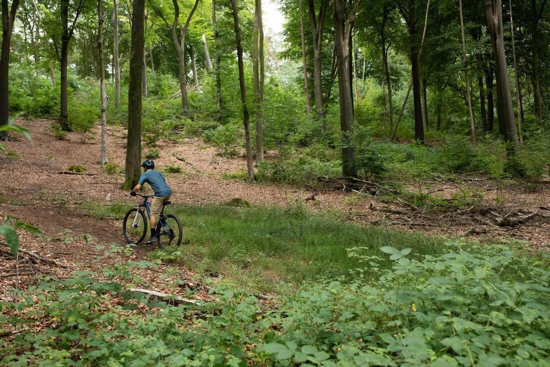 Mens Short-Sleeved Mountain Bike Jersey - Expl 100, Blue, No Color, medium