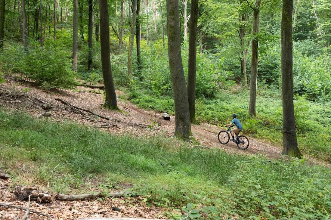 Mens Short-Sleeved Mountain Bike Jersey - Expl 100, Blue, No Color, medium