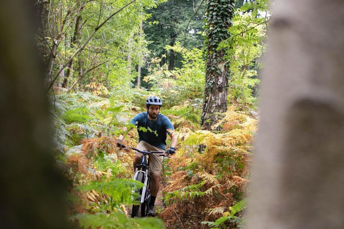 Mens Short-Sleeved Mountain Bike Jersey - Expl 100, Blue, No Color, medium