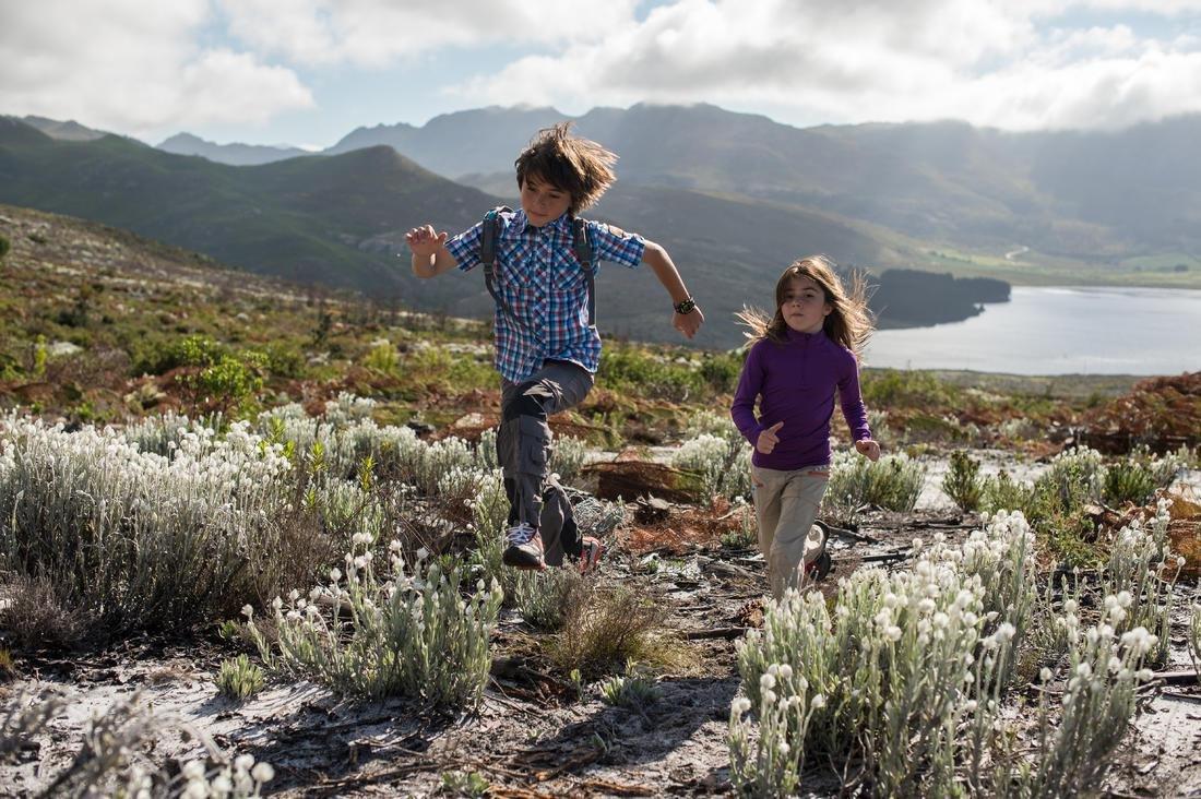 Kids Unisex Mountain Walking Socks - Set Of 2 - Mid Height Crossocks, Navy, No Color, large image number 9