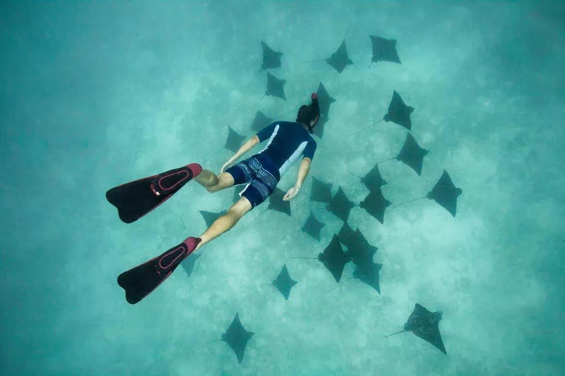 520 Adult Snorkelling Fins, Red, No Color, medium