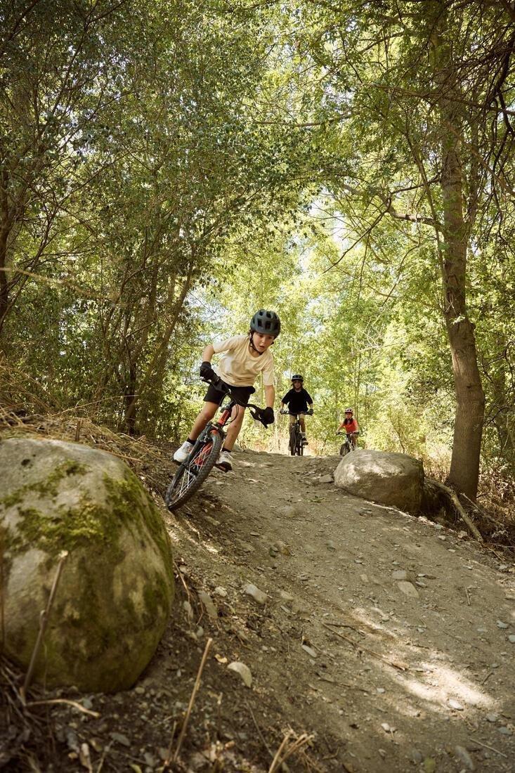 6-9 Years Mountain Bike, Vitamin Orange, No Color, medium