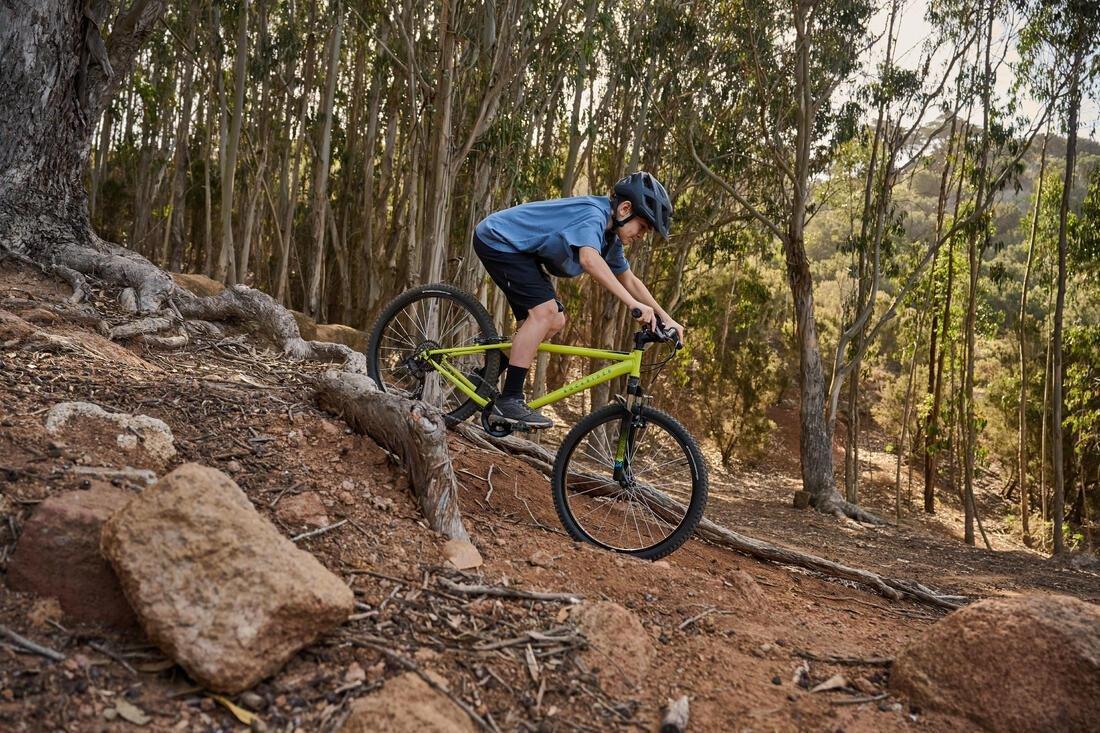 24, No Color, large image number 12