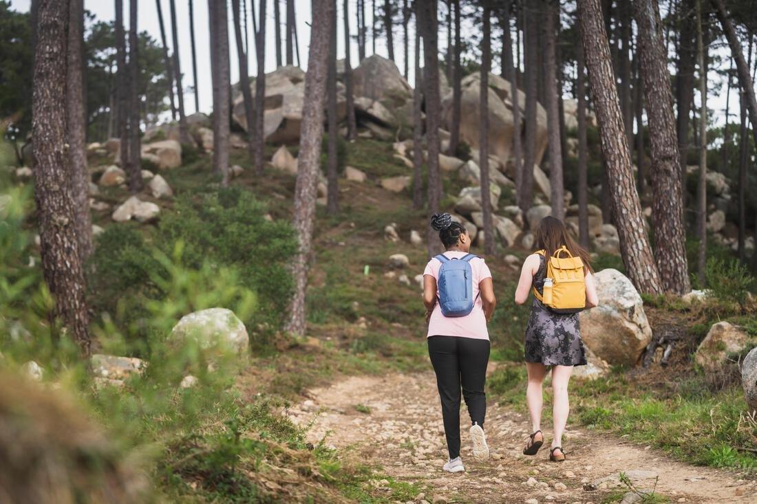 Hiking 10L Backpack - Arpenaz Nh100, blue, No Color, large image number 13