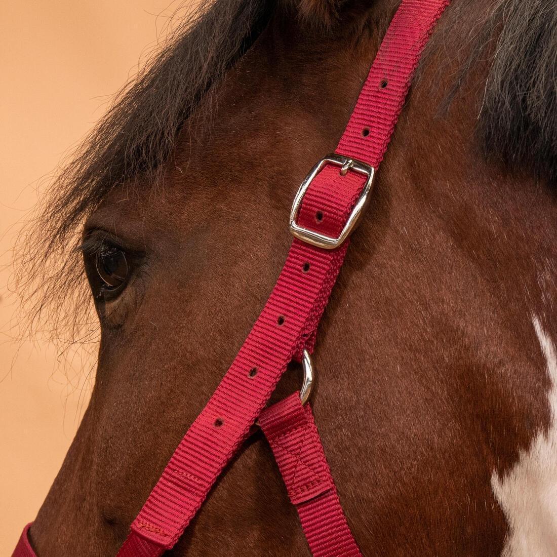 FOUGANZA--NEW SCHOOLING HALTER BLACK 2023, , large image number 5