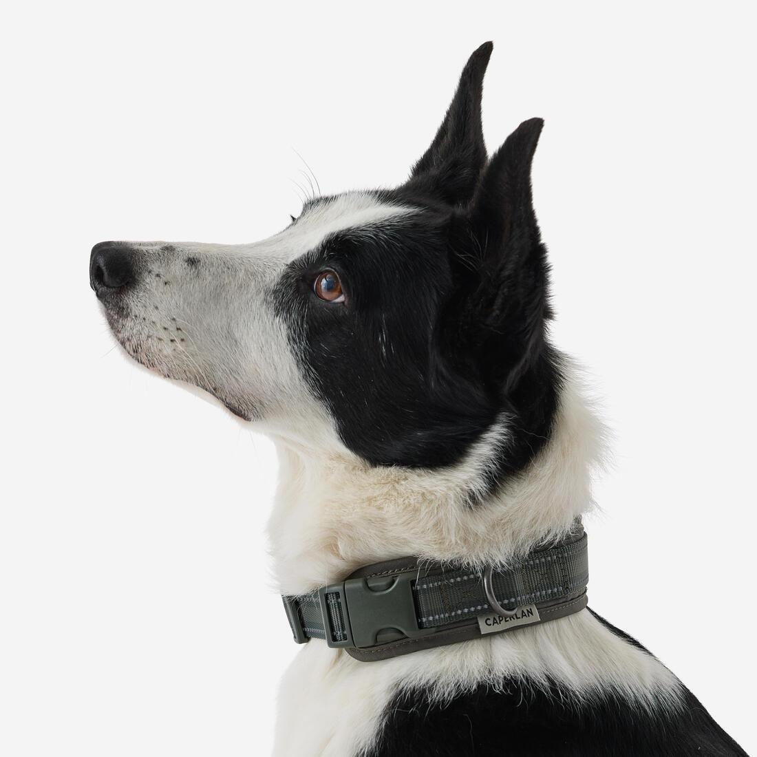 Dog Collar Outdoor - 500, Khaki, No Color, large image number 4
