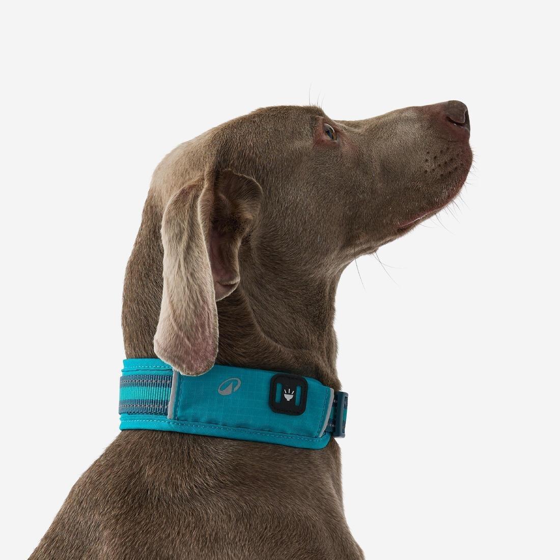 Dog Collar Outdoor - 500, Khaki, No Color, large image number 5