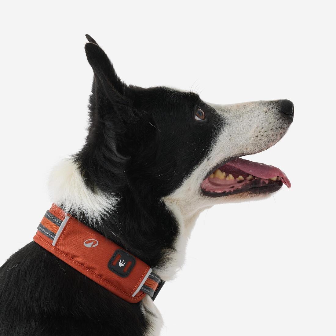 Dog Collar Outdoor - 500, Khaki, No Color, large image number 6