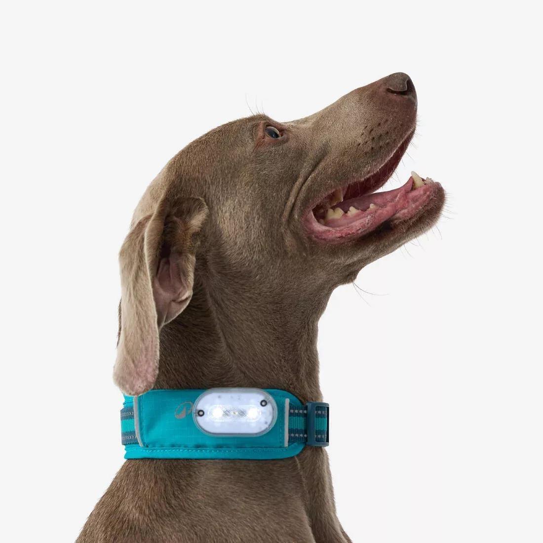 Dog Collar Outdoor - 500, Khaki, No Color, large image number 7