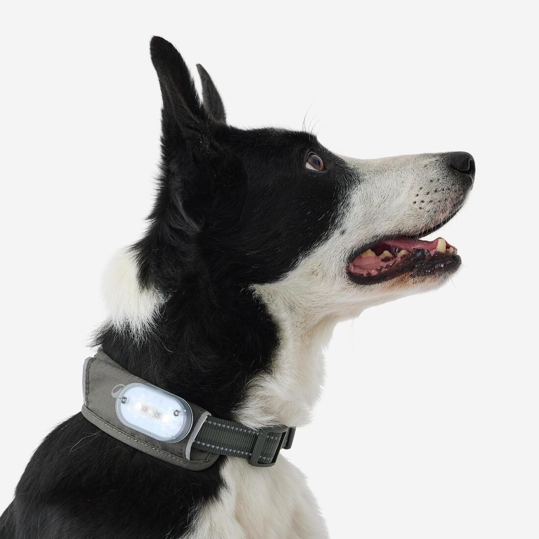 Dog Collar Outdoor - 500, Khaki, No Color, large image number 8