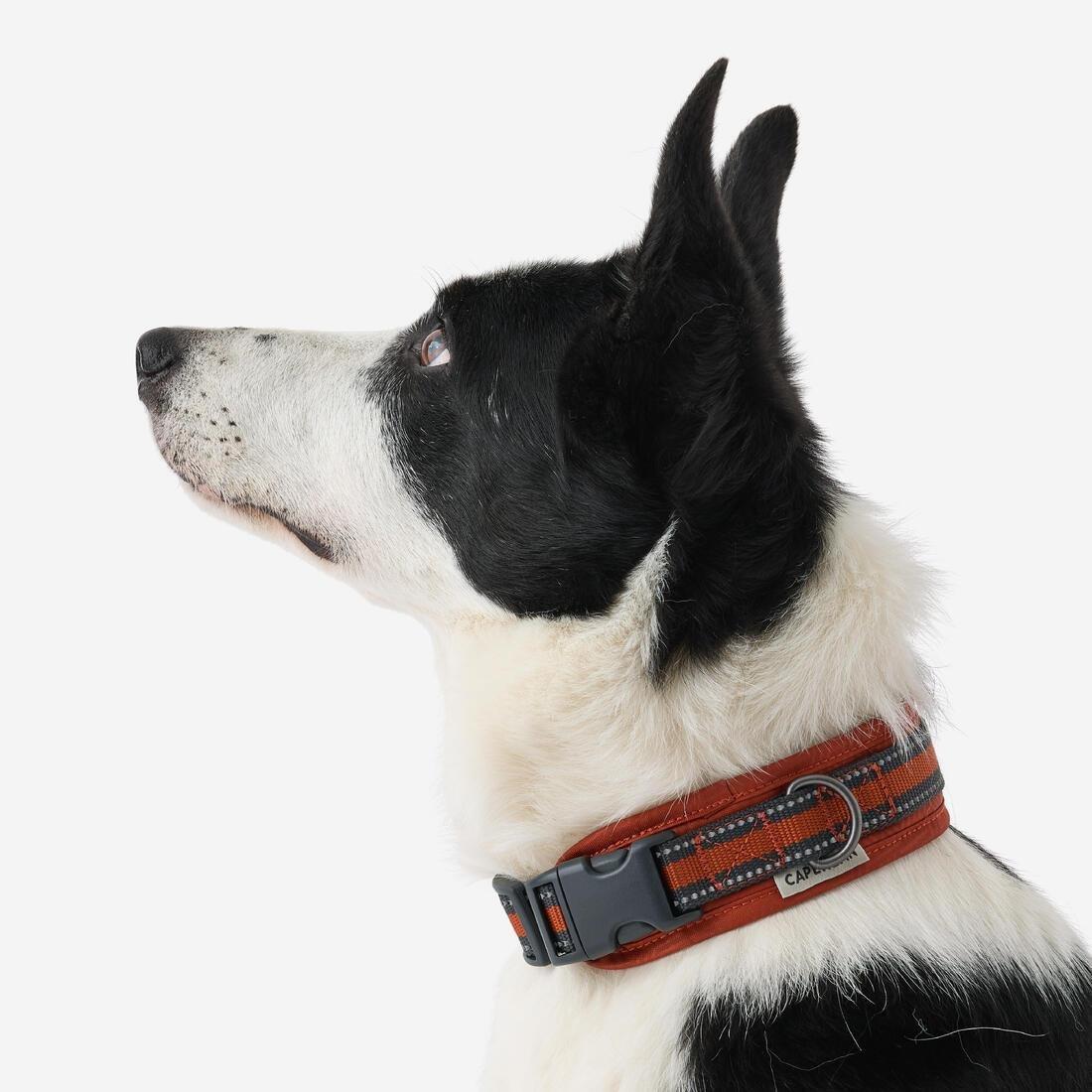 Dog Collar Outdoor - 500, Khaki, No Color, large image number 9