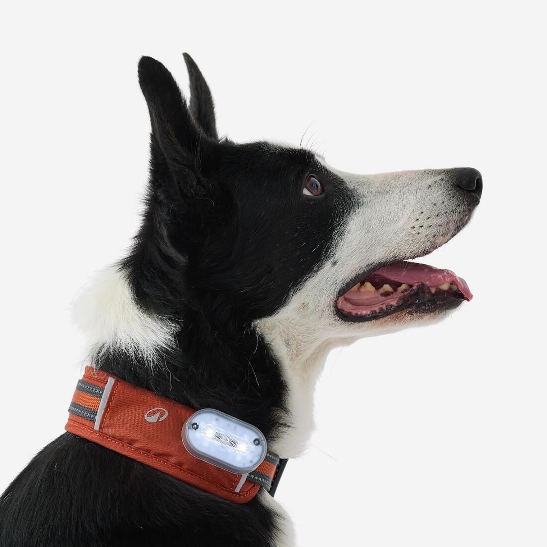 Dog Collar Outdoor - 500, Khaki, No Color, large image number 10