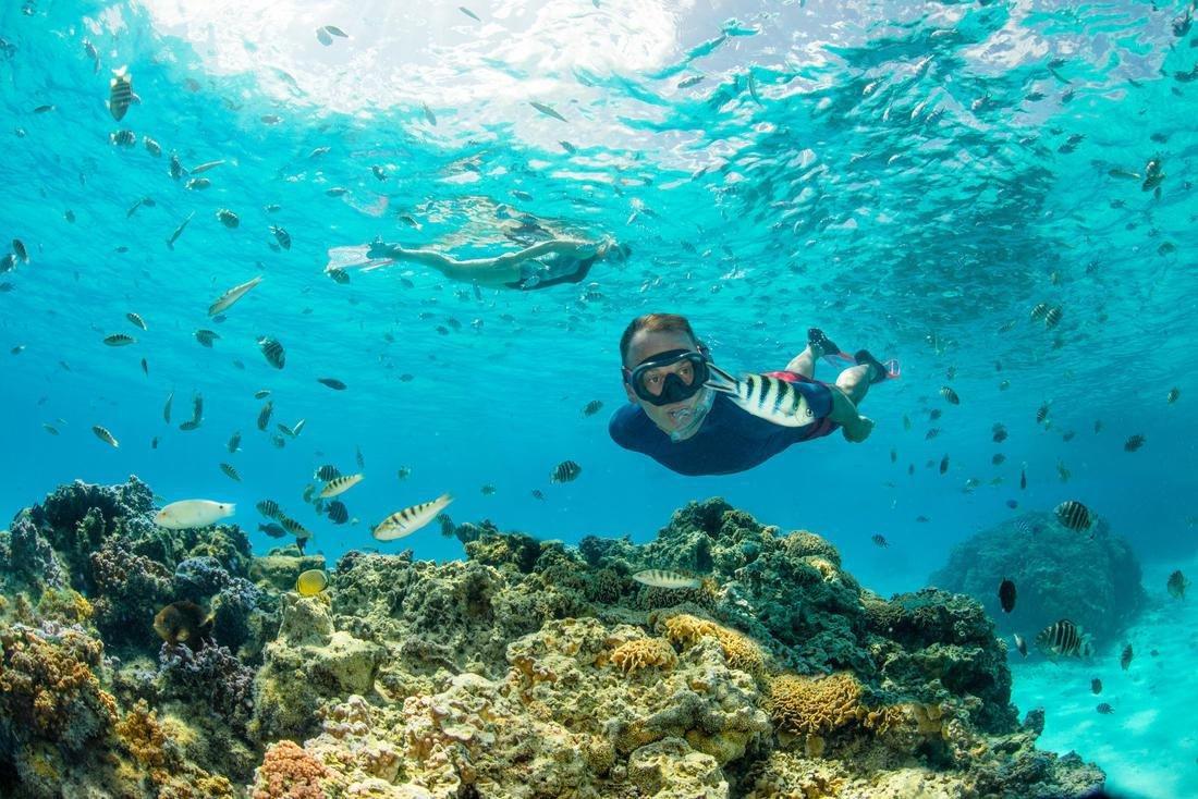 Diving Snorkel With Valve - 100, Green, No Color, large image number 11