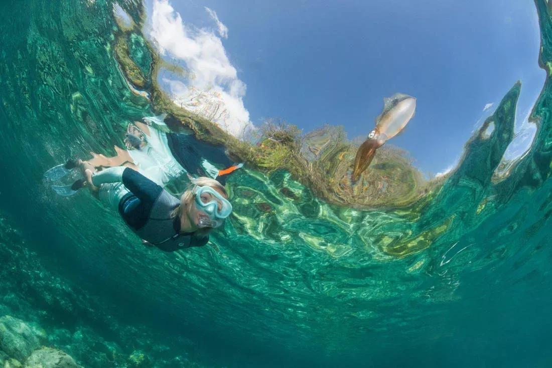 Diving Snorkel With Valve - 100, Green, No Color, large image number 12