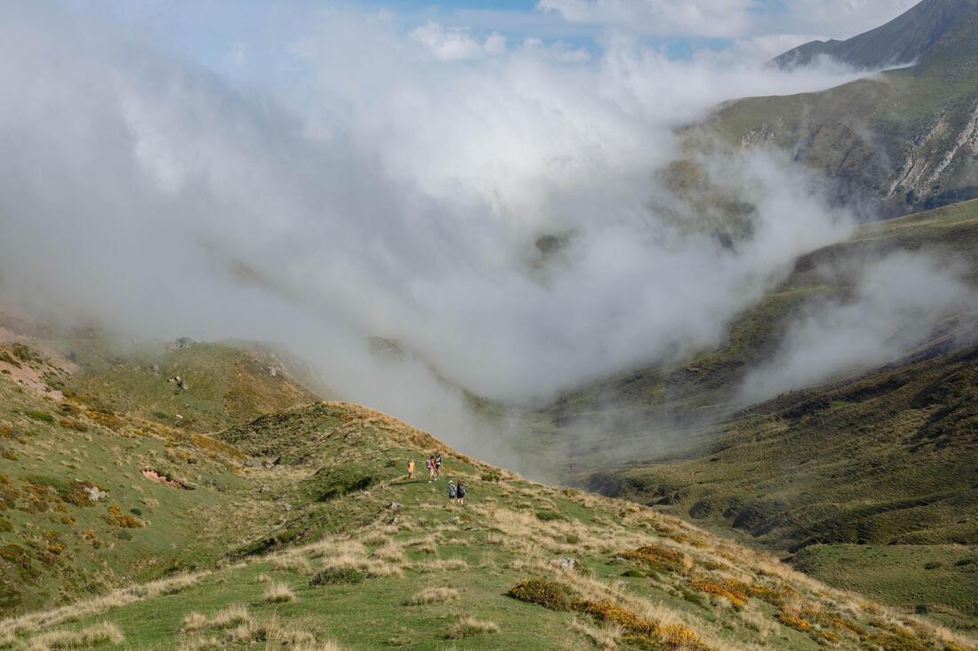 Women Short-Sleeved Hiking T-Shirt - Mh500, Green, No Color, large image number 8