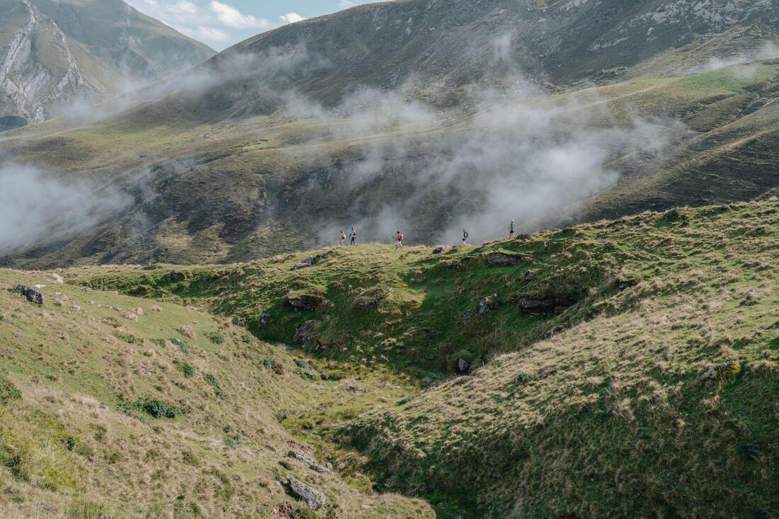 Women Short-Sleeved Hiking T-Shirt - Mh500, Green, No Color, large image number 12