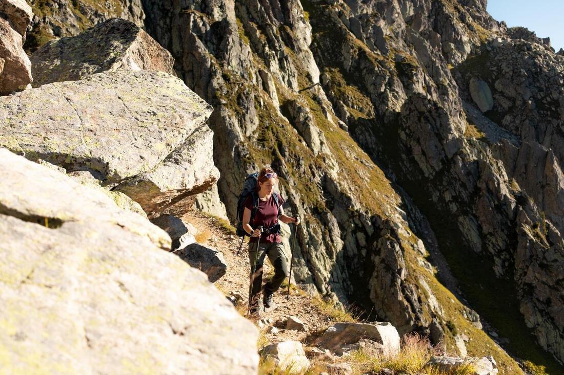 Women Merino Wool Short-Sleeved Trekking T-Shirt - MT500, Brown, No Color, large image number 7