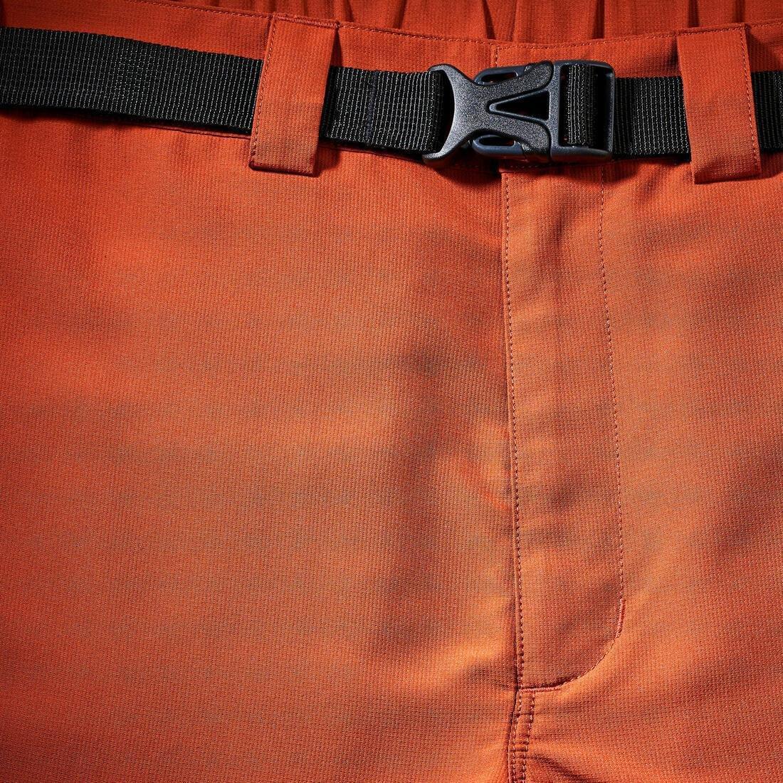 Men Robust Trekking Shorts - MT500, Brown, No Color, large image number 5