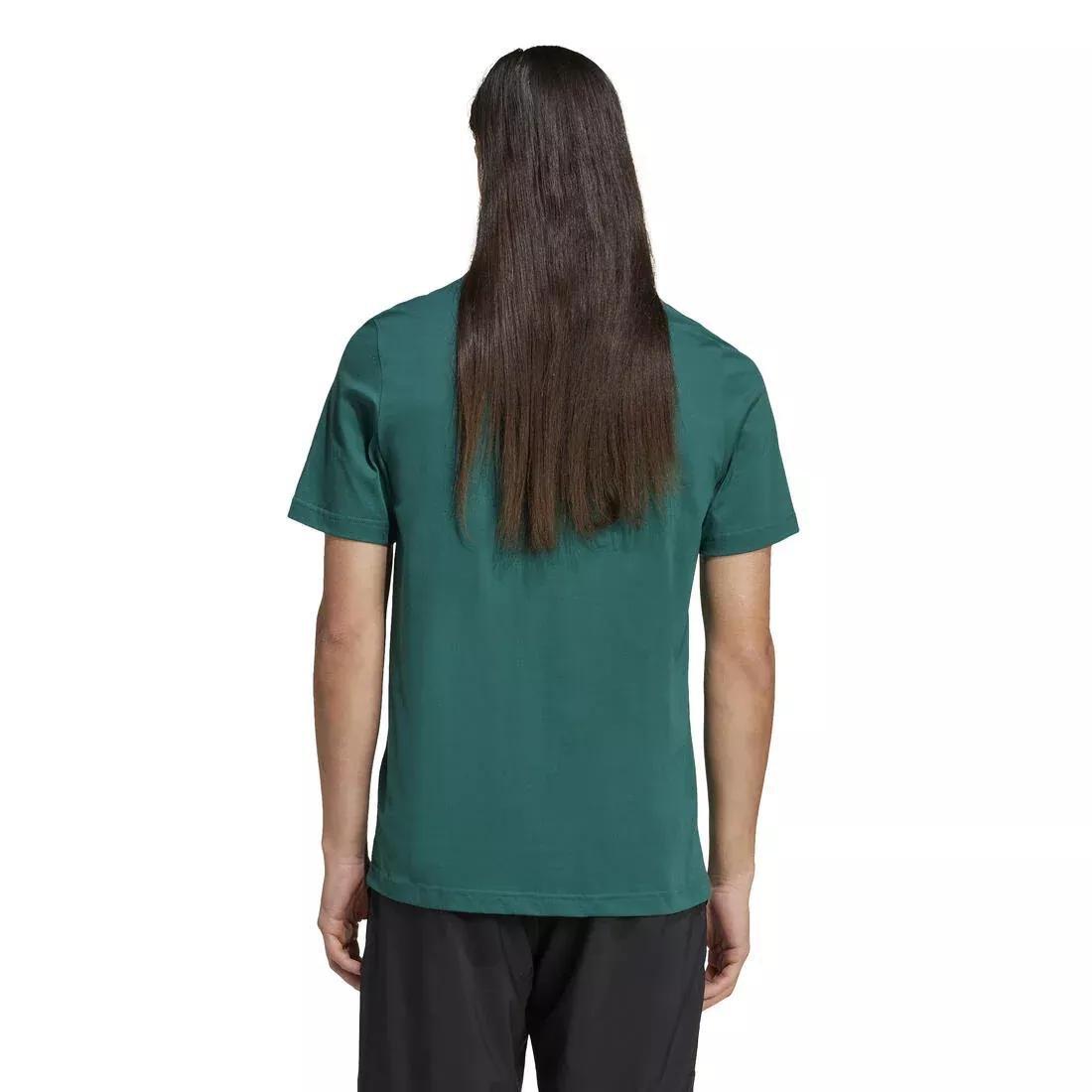 Collegiate Graphic T-shirt, Green, No Color, medium