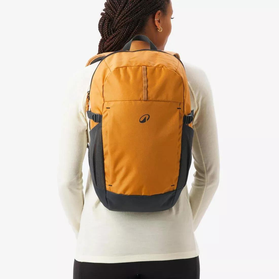 20 L Backpack - Arpenaz 100, Orange, No Color, medium