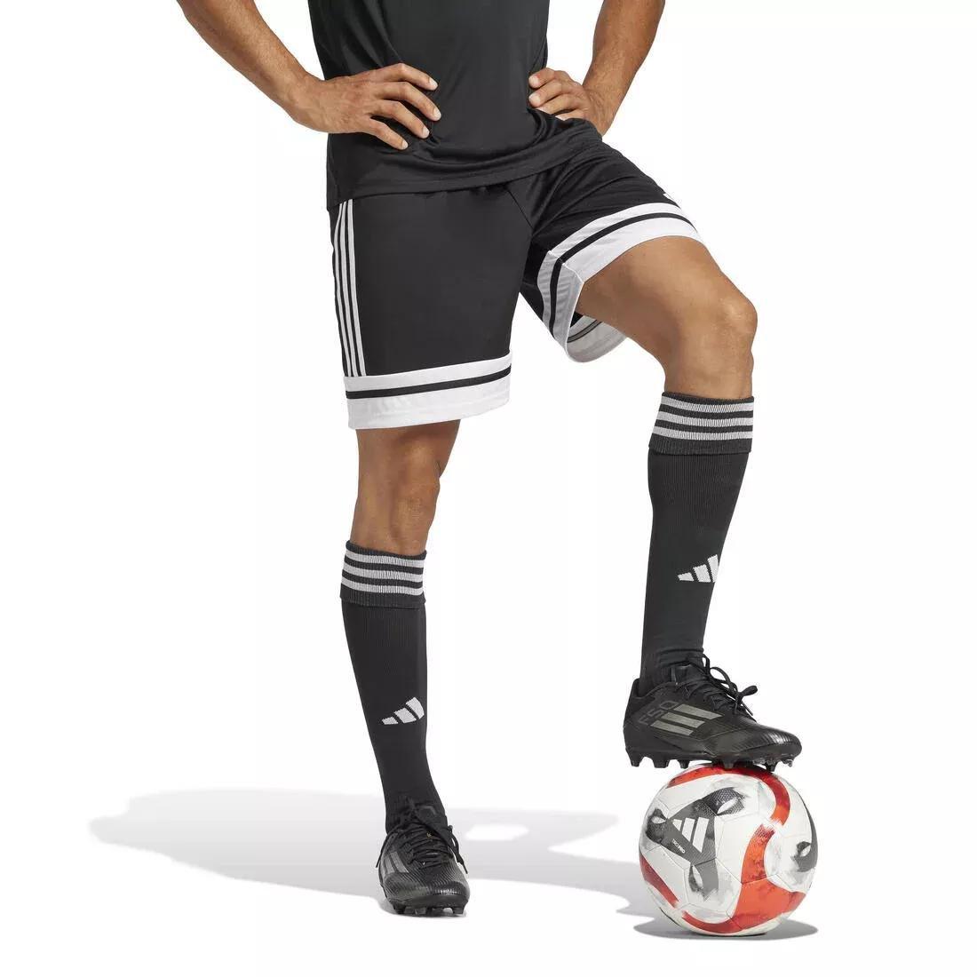 Squadra 25 Shorts, No Color, large image number 7