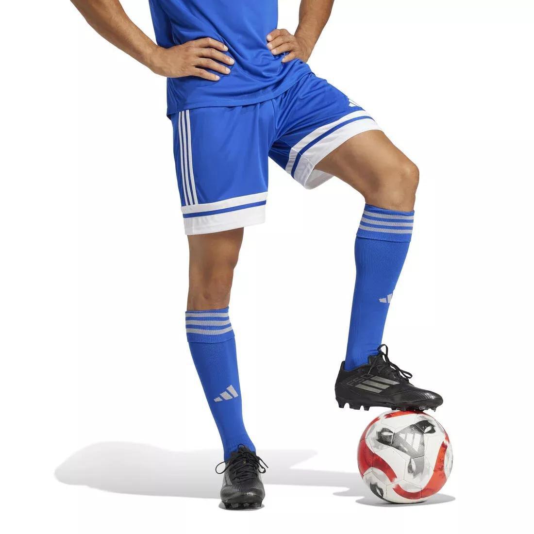 Squadra 25 Shorts, No Color, large image number 5