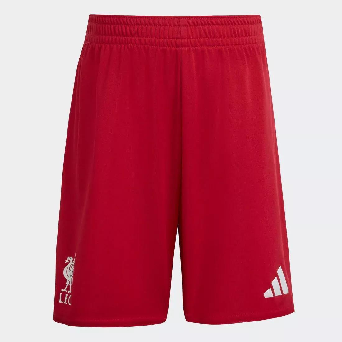 Kids Unisex Liverpool FC 25/26 Home Mini Kit, Red, No Color, large image number 9