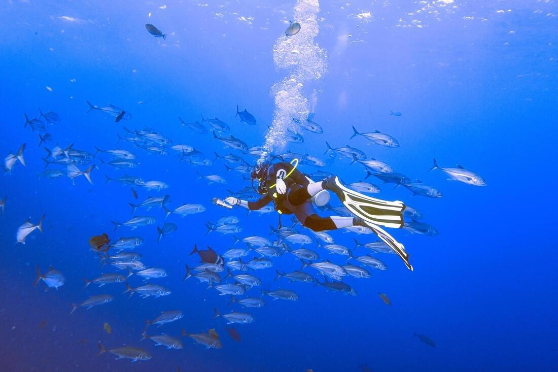 FOGGY BLUE Diving Fins - FF 500 Power White Black, , large image number 8