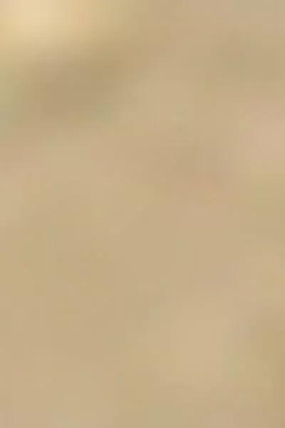 Gold Nickel Free Bodysuit Chain, 5501_084E, large image number 2