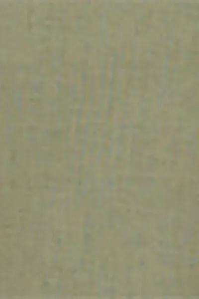 Green Short Linen And Viscose Shirt, 5501_204E, large image number 4