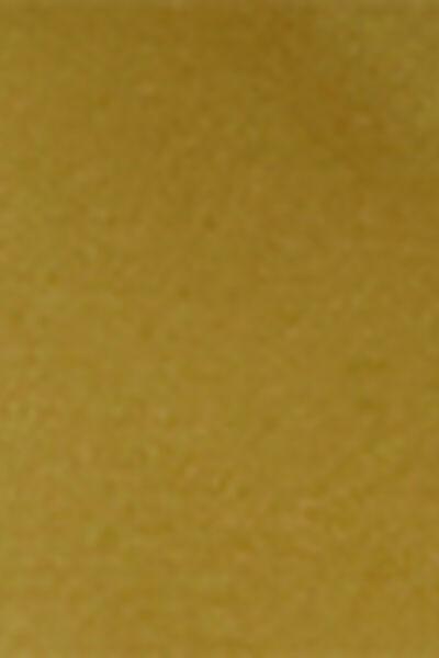 Green Shiny Satin Swimsuit, 5501_149E, large image number 4