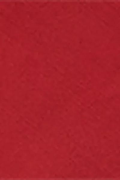 Red Shiny Satin Swimsuit, 5501_156E, large image number 4