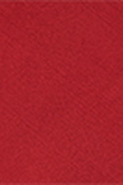 Red Shiny Satin Swimsuit, 5501_156E, large image number 4