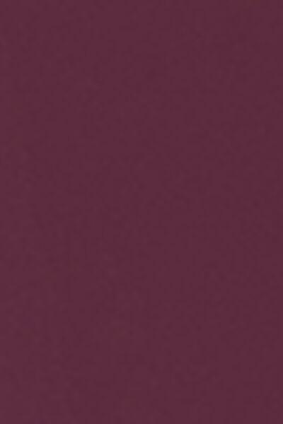 Burgundy Invisible Bonding Swimsuit, 5501_180E, large image number 4