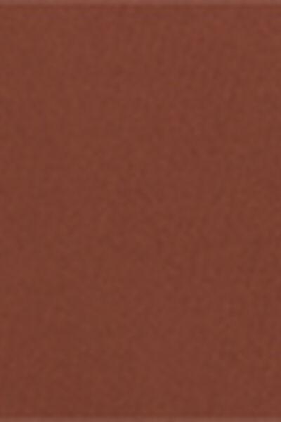 Brown Non-Padded Premium Fit Swimsuit, 5501_272E, large image number 4