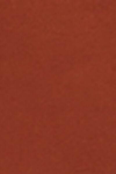 Brown Classic Premium Fit Swimsuit, 5501_161E, large image number 4