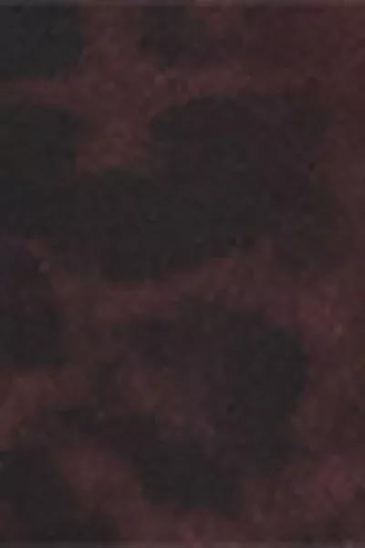 Brown Animal Print Balconette Bikini Top, 5501_165E, large image number 4