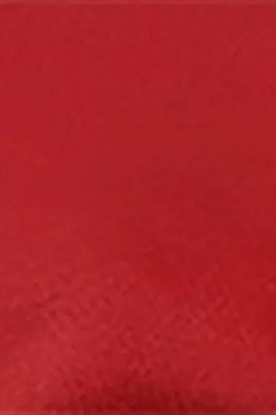 Red Brassiere Bikini Top Shiny Satin, 5501_156E, large image number 4