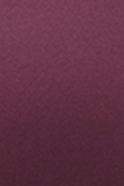 Burgundy Brassiere Bikini Invisible Bonding Top, 5501_180E, large image number 4