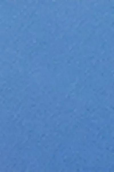 Blue Padded Push-Up Bikini Top, 5501_060E, large image number 4