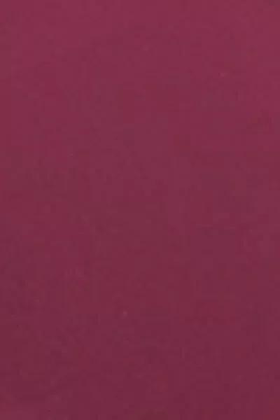 Burgundy Padded Push-Up Bikini Top, 5501_101E, large image number 4