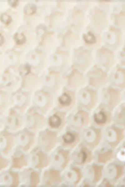 White Sequin Net Triangle Bikini Top, 5501_176E, large image number 4