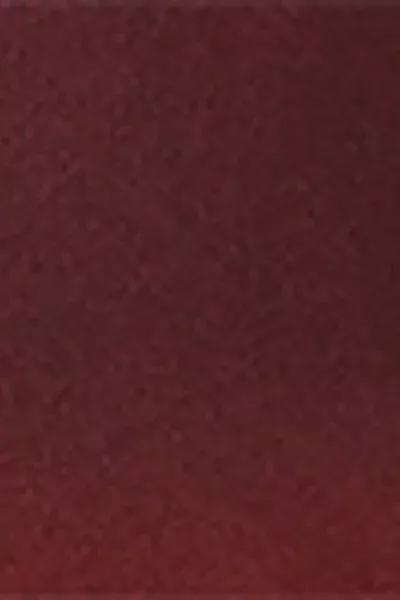 Burgundy Soft Shades Triangle Bikini Top, 5501_177E, large image number 4