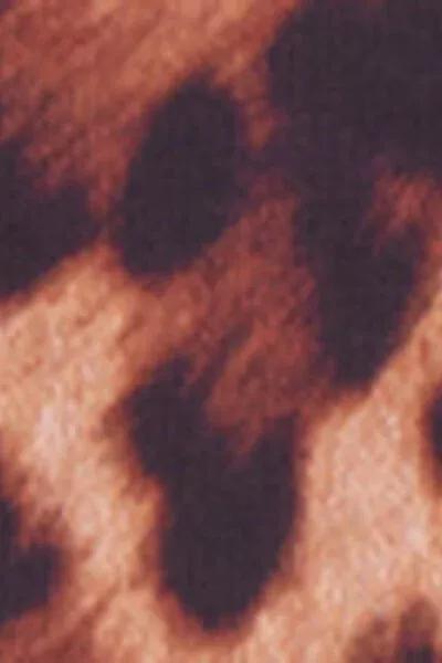 Brown Animal Print Graduated Padded Triangle Bikini Top, 5501_152E, large image number 4