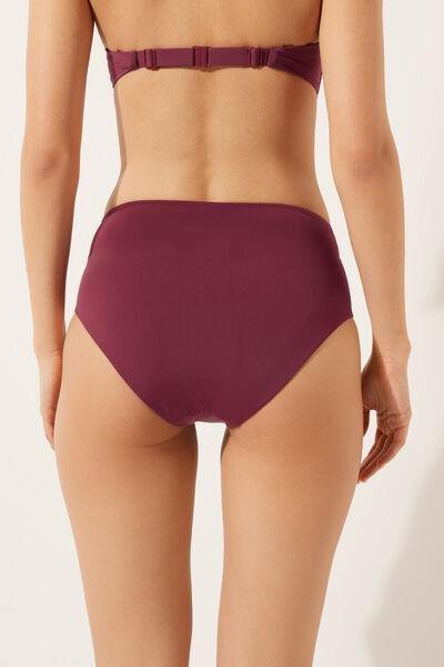 Burgundy High-Waisted Bikini Bottoms, , large image number 2