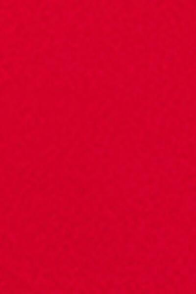 Red V-Cut Brazilian Bikini Bottoms, 5501_061E, large image number 4